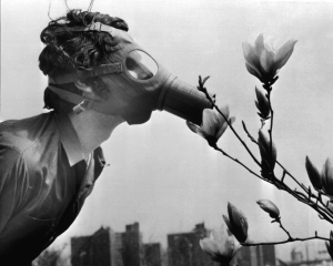 1970. &Omicron;&iota; &sigma;&kappa;ό&rho;&pi;&iota;&epsilon;&sigmaf; &delta;&iota;&alpha;&mu;&alpha;&rho;&tau;&upsilon;&rho;ί&epsilon;&sigmaf; &gamma;&iota;&alpha; &tau;&omicron; &pi;&epsilon;&rho;&iota;&beta;ά&lambda;&lambda;&omicron;&nu; &pi;ή&rho;&alpha;&nu; &chi;&alpha;&rho;&alpha;&kappa;&tau;ή&rho;&alpha; &kappa;&iota;&nu;ή&mu;&alpha;&tau;&omicron;&sigmaf;. &Tau;&omicron;&nu; &Alpha;&pi;&rho;ί&lambda;&iota;&omicron; &epsilon;&kappa;&epsilon;ί&nu;&eta;&sigmaf; &tau;&eta;&sigmaf; &chi;&rho;&omicron;&nu;&iota;ά&sigmaf; &kappa;&alpha;&theta;&iota;&epsilon;&rho;ώ&theta;&eta;&kappa;&epsilon; &eta; &Eta;&mu;έ&rho;&alpha; &tau;&eta;&sigmaf; &Gamma;&eta;&sigmaf;, &mu;&epsilon; &mu;&epsilon;&gamma;ά&lambda;&epsilon;&sigmaf; &delta;&iota;&alpha;&delta;&eta;&lambda;ώ&sigma;&epsilon;&iota;&sigmaf;. &Sigma;&tau;&omicron; &pi;&lambda;&alpha;ί&sigma;&iota;&omicron; &epsilon;&kappa;&epsilon;ί&nu;&eta;&sigmaf; &tau;&eta;&sigmaf; &kappa;&alpha;&mu;&pi;ά&nu;&iota;&alpha;&sigmaf; &mu;&epsilon; &pi;&omicron;&lambda;&iota;&tau;&iota;&kappa;ά &chi;&alpha;&rho;&alpha;&kappa;&tau;&eta;&rho;&iota;&sigma;&tau;&iota;&kappa;ά, &kappa;&upsilon;&kappa;&lambda;&omicron;&phi;ό&rho;&eta;&sigma;&epsilon; &kappa;&alpha;&iota; &eta; &phi;&omega;&tau;&omicron;&gamma;&rho;&alpha;&phi;ί&alpha; &mu;&epsilon; &tau;&omicron;&nu; &phi;&omicron;&iota;&tau;&eta;&tau;ή &omicron; &omicron;&pi;&omicron;ί&omicron;&sigmaf; &pi;&rho;&omicron;&sigma;&pi;&alpha;&theta;&epsilon;ί &nu;&alpha; &mu;&upsilon;&rho;ί&sigma;&epsilon;&iota; &tau;&omicron; ά&nu;&theta;&omicron;&sigmaf; &mu;&iota;&alpha;&sigmaf; &mu;&alpha;&nu;ό&lambda;&iota;&alpha;&sigmaf; &epsilon;&nu;ώ &phi;&omicron;&rho;ά&epsilon;&iota; &alpha;&nu;&tau;&iota;&alpha;&sigma;&phi;&upsilon;&xi;&iota;&omicron;&gamma;ό&nu;&omicron; &mu;ά&sigma;&kappa;&alpha;. &Pi;&epsilon;&nu;ή&nu;&tau;&alpha; &kappa;&alpha;&iota; &pi;&lambda;έ&omicron;&nu; &chi;&rho;ό&nu;&iota;&alpha; &mu;&epsilon;&tau;ά, &omicron;&iota; &delta;&upsilon;&sigma;&omicron;ί&omega;&nu;&epsilon;&sigmaf; &pi;&rho;&omicron;&beta;&lambda;έ&psi;&epsilon;&iota;&sigmaf; &epsilon;&kappa;&epsilon;ί&nu;&omicron;&upsilon; &tau;&omicron;&upsilon; &kappa;&iota;&nu;ή&mu;&alpha;&tau;&omicron;&sigmaf; &delta;&iota;&alpha;&psi;&epsilon;ύ&sigma;&tau;&eta;&kappa;&alpha;&nu;, &alpha;&phi;&omicron;ύ &kappa;&alpha;&mu;&iota;ά &alpha;&nu;&theta;&rho;&omega;&pi;&omicron;&gamma;&epsilon;&nu;ή&sigmaf; &kappa;&alpha;&tau;&alpha;&sigma;&tau;&rho;&omicron;&phi;ή &delta;&epsilon;&nu; &sigma;ά&rho;&omega;&sigma;&epsilon; &alpha;&kappa;ό&mu;&eta; &tau;&omicron;&nu; &delta;&upsilon;&tau;&iota;&kappa;ό &mu;&alpha;&sigmaf; &pi;&omicron;&lambda;&iota;&tau;&iota;&sigma;&mu;ό 
