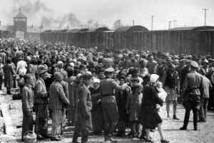 &Mu;ά&iota;&omicron;&sigmaf;/&Iota;&omicron;ύ&nu;&iota;&omicron;&sigmaf; 1944. &laquo;&Epsilon;&pi;&iota;&lambda;&omicron;&gamma;ή&raquo; &omicron;ύ&gamma;&gamma;&rho;&omega;&nu; &epsilon;&beta;&rho;&alpha;ί&omega;&nu; &sigma;&tau;&eta; &rho;ά&mu;&pi;&alpha; &sigma;&tau;&omicron; Ά&omicron;&upsilon;&sigma;&beta;&iota;&tau;&sigmaf;-&Iota;&Iota;-&Mu;&pi;ί&rho;&kappa;&epsilon;&nu;&alpha;&omicron;&upsilon;, &sigma;&tau;&eta;&nu; &kappa;&alpha;&tau;&epsilon;&chi;ό&mu;&epsilon;&nu;&eta; &alpha;&pi;ό &tau;&eta; &Gamma;&epsilon;&rho;&mu;&alpha;&nu;ί&alpha; &Pi;&omicron;&lambda;&omega;&nu;ί&alpha;, &kappa;&alpha;&tau;ά &tau;&eta;&nu; &tau;&epsilon;&lambda;&iota;&kappa;ή &phi;ά&sigma;&eta; &tau;&omicron;&upsilon; &Omicron;&lambda;&omicron;&kappa;&alpha;&upsilon;&tau;ώ&mu;&alpha;&tau;&omicron;&sigmaf;. &Omicron;&iota; &epsilon;&beta;&rho;&alpha;ί&omicron;&iota; &sigma;&tau;έ&lambda;&nu;&omicron;&nu;&tau;&alpha;&nu; &epsilon;ί&tau;&epsilon; &sigma;&tau;&eta; &delta;&omicron;&upsilon;&lambda;&epsilon;&iota;ά &epsilon;ί&tau;&epsilon; &sigma;&tau;&omicron;&nu; &theta;ά&lambda;&alpha;&mu;&omicron; &alpha;&epsilon;&rho;ί&omega;&nu; - &mu;&epsilon; &mu;ό&nu;&omicron; &kappa;&rho;&iota;&tau;ή&rho;&iota;&omicron; ό&tau;&iota; ή&tau;&alpha;&nu; &epsilon;&beta;&rho;&alpha;ί&omicron;&iota;.